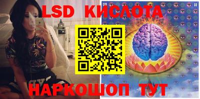 стафф Лесосибирск