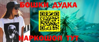 гашик Ливны