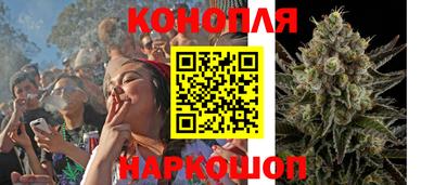 гашик Ливны