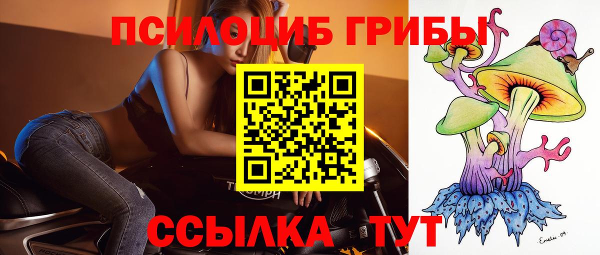 Кириши  Псилоцибиновые грибы Magic Shrooms  Вход с VPN 
